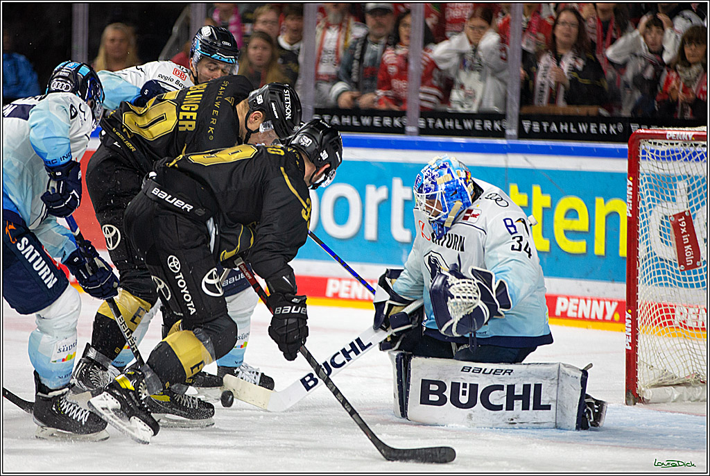 PENNY DEL;  Kölner Haie - ERC Ingolstadt; Köln, 25.11.2022